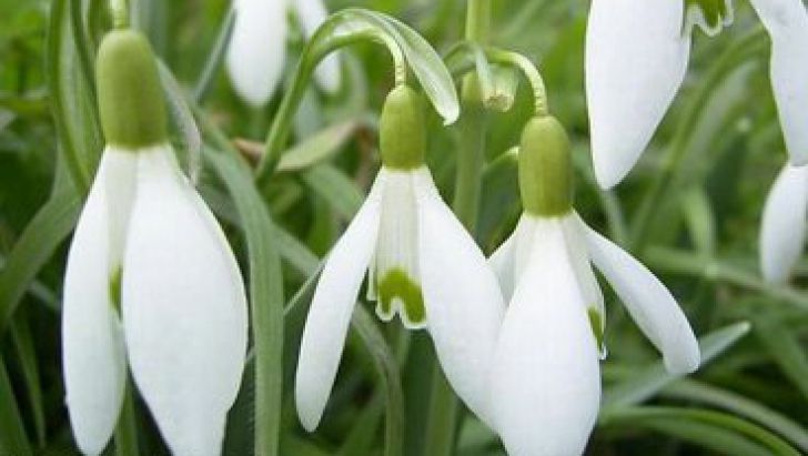 PROGNOZA METEO: VREMEA se RĂCEŞTE uşor, temperaturile rămân de primăvară. VREMEA pe 3 zile