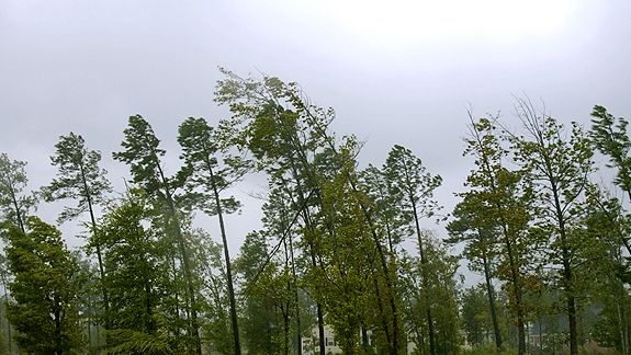 COD GALBEN de VÂNT în şapte judeţe