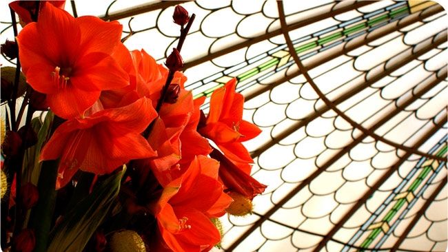 Afla cum iti influenteaza zodiacul japonez personalitatea si destinul! 