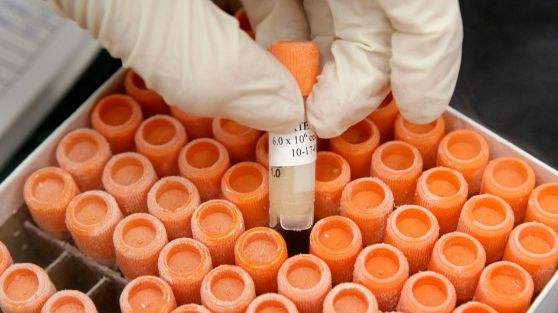 Alertă în Europa: Virusul hepatitei E descoperit în sângele donatorilor