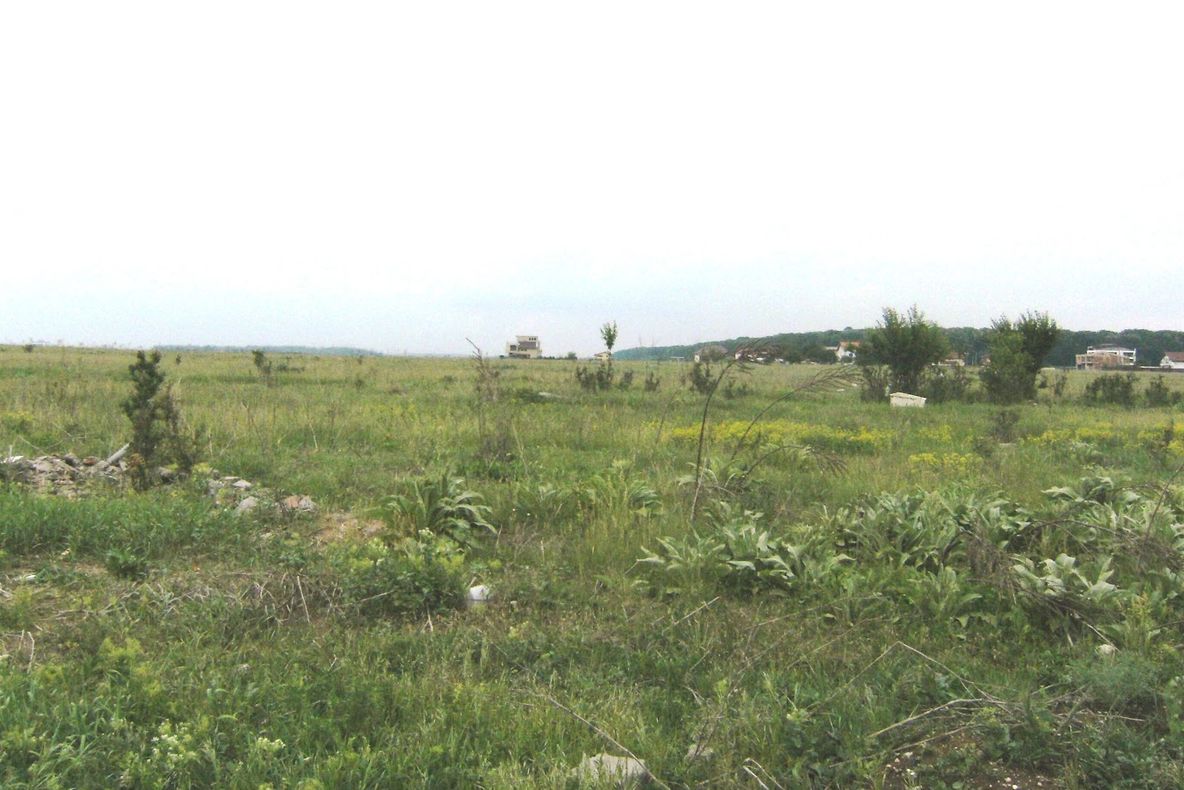 CULISELE STATULUI PARALEL. Oamenii statului paralel, paznici la retrocedări