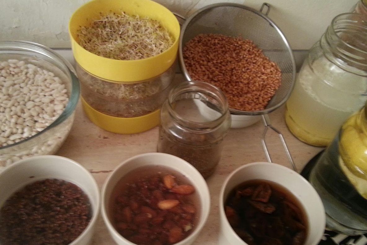 5 motive sa incluzi alimentele germinate in dieta ta