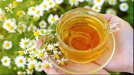 Ceaiul de muşeţel, secretul longevităţii pentru femei. De ce nu are niciun efect la bărbaţi?