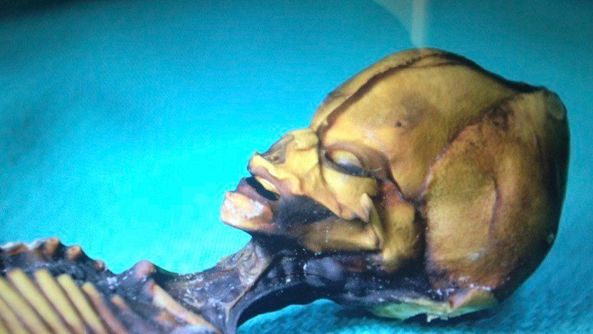 Document FBI strict SECRET: O specie EXTRATERESTRĂ ne vizitează din ALTA DIMENSIUNE