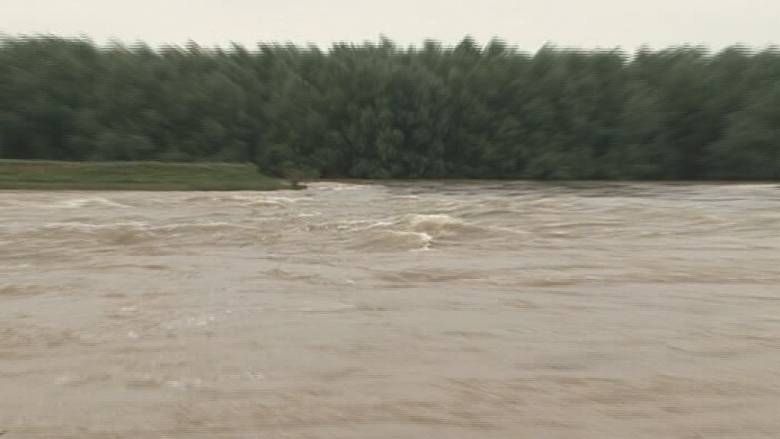 Avertisment ȘOCANT: ce am putea păţi dacă mâncăm pești din Dunăre 