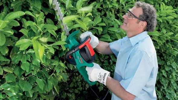 Black Friday 2014. Un retailer online oferă reduceri de 80% la produse de casă și gradină