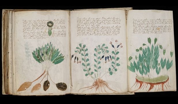 Singura carte din lume care nu a fost descifrată de nimeni va fi "clonată"