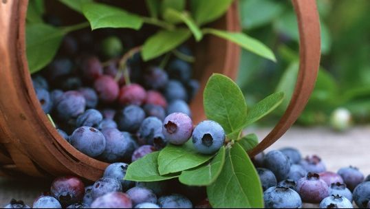 Ai de dat un examen? 4 alimente care stimulează creierul