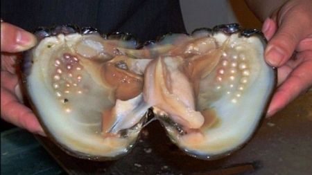 A rămas mut de uimire după ce a descoperit asta. "N-am pus mâna niciodată pe așa ceva!"