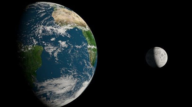 Micile viețuitoare care ar putea salva lumea