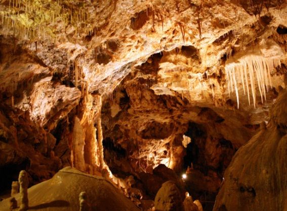 Misterul ascuns din Peștera Urșilor, situată în Munții Apuseni