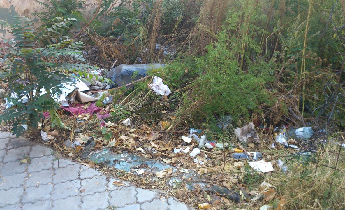 Bani aruncaţi la groapă în Bacău 