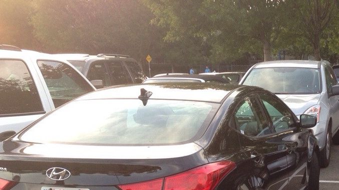 Locuri de parcare, doar cu plată în centrul Bucureștiului 