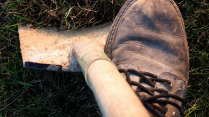 Zeci de muncitori români, umiliți și bătuți în Olanda