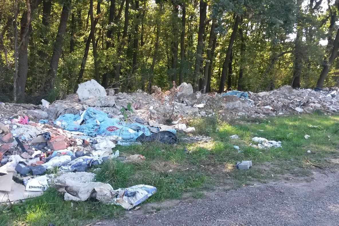 Acțiune de ecologizare a pădurii Băneasa 