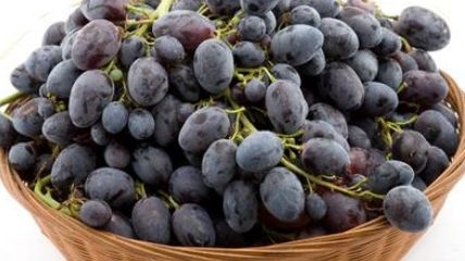 Antioxidantul care încetineşte Alzheimerul. Iată în ce alimente se găseşte