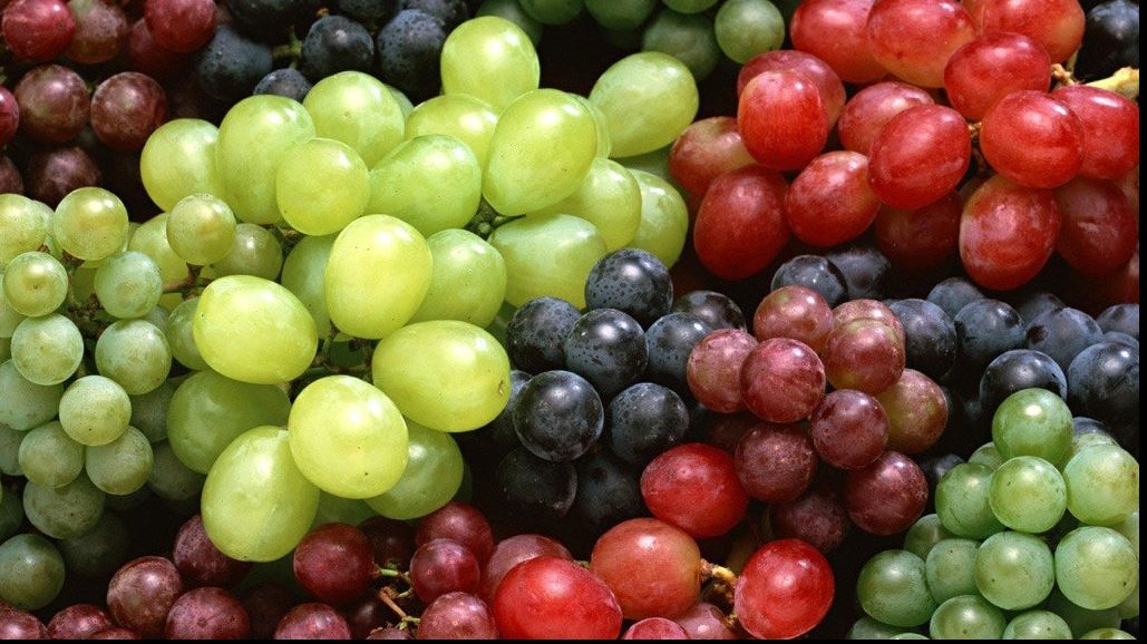 FRESH-REFRESH. Beneficiile strugurilor