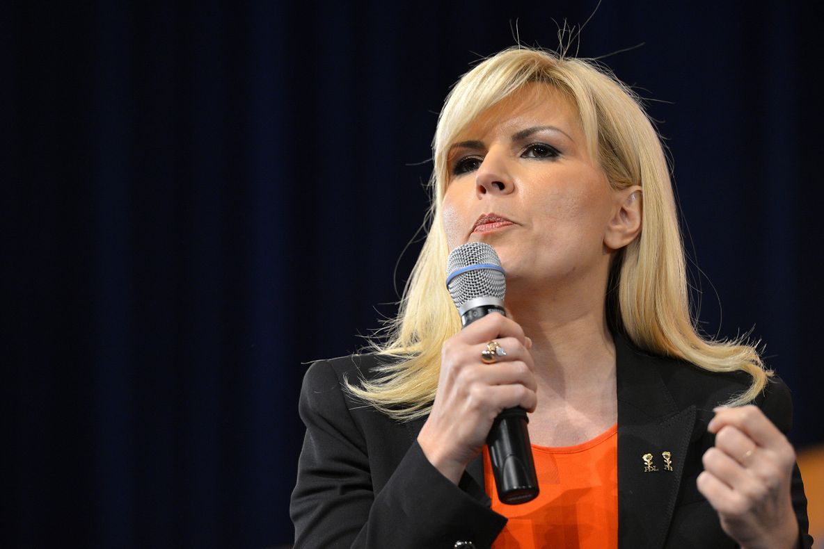 Udrea: "E foarte posibil" să mai fie plecări din PDL înainte de şedinţa BPN de sâmbătă