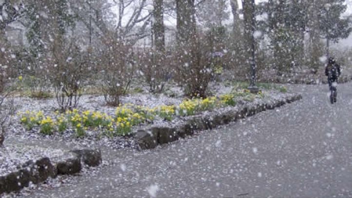 Schimbări neaşteptate ale vremii. Prognoza meteo pe două săptămâni 