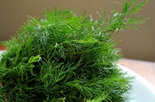 Fierbe frunze proaspete de mărar și bea câte un pahar înainte de culcare. Efectele, uimitoare