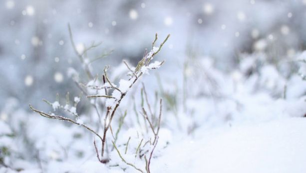 STUDIU: Efectul schimbărilor drastice de vreme asupra sănătăţii 