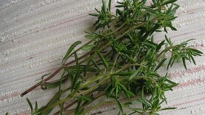 Un banal condiment tratează problemele cu stomacul. Efectele lui sunt miraculoase