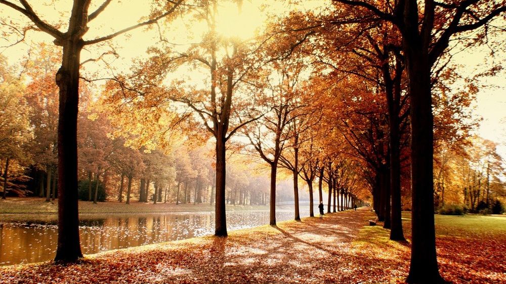 Vreme caldă în unele regiuni, posibile ninsori la munte. Prognoza meteo pe trei zile 