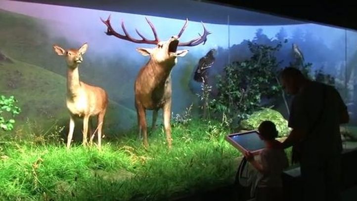 Noaptea Muzeelor: Aproape 18.000 de vizitatori, la Antipa