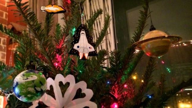 Ce poți face cu bradul după Sărbătorile de Iarnă 