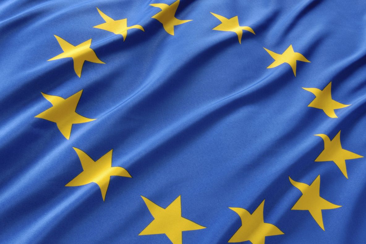 Program de combatere a FRAUDEI şi CORUPŢIEI, adoptat de Parlamentul European