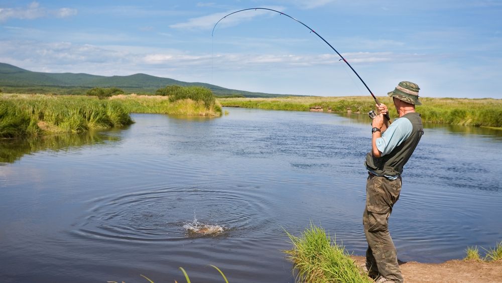 A început prohibiția pescuitului la două dintre cele mai populare specii din apele românești