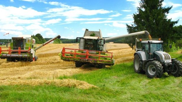 Motivul incredibil pentru care fermierii nu își primesc subvențiile pe terenuri