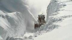 Planul SURPRIZĂ cu care CNADNR iese la atac împotriva CODULUI ROŞU