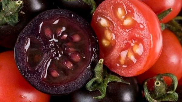 Roşiile MOV vor ajunge în curând în supermarket. Ce efecte benefice are leguma MINUNE