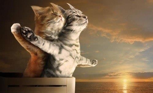 BANC DE BANC. Cică pe Titanic a fost şi un român!