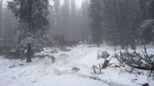 Procuror: Ancheta accidentului aviatic este clară, cine ştie ceva să dea declaraţii, nu să insinueze