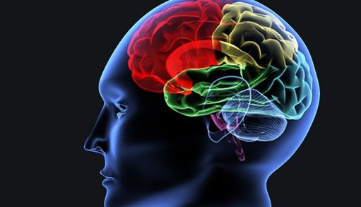 Activități care îmbunătățesc memoria recomandate de oamenii de știință