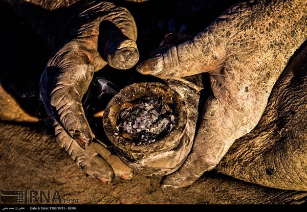 Imaginile care au CUTREMURAT lumea: Cum arată omul care nu s-a mai spălat de 60 de ani