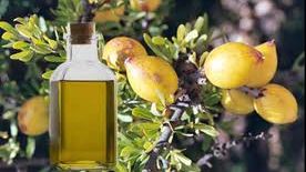 Secretele uleiului de argan pentru frumuseţe