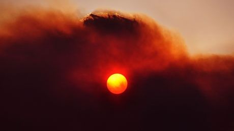 VARĂ FIERBINTE LA ANTIPOZI. Temperaturile au atins 50 de grade Celsius 