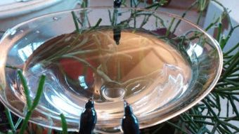 Amestecuri naturale care ard grăsimile