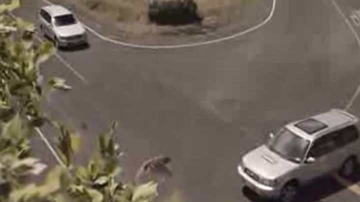 CAMPANIE ŞOC de RESPONSABILIZARE a şoferilor, în Noua Zeelandă