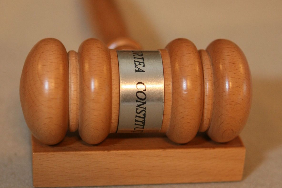 CC: Numirea Ecaterinei Teodorescu în funcţia de AVOCAT AL POPORULUI, constituţională