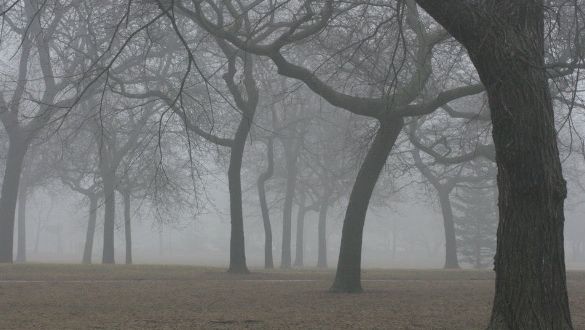 COD GALBEN de ceaţă. 10 JUDEŢE şi traficul pe A2 şi A3, afectate de COD GALBEN