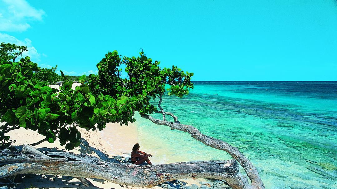 Anul 2014 va fi marcat de conflicte între generaţii în Cuba, prezice santeria