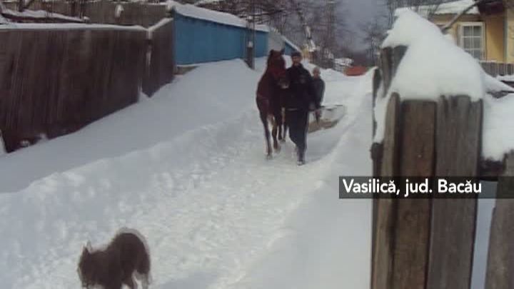 MARTOR OCULAR. Deszăpezire...cu un cal putere. METODA INVENTIVĂ