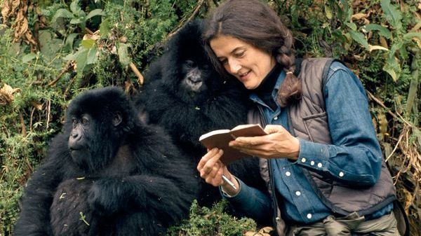 Dian Fossey, femeia care s-a înțeles mai bine cu gorilele decât cu oamenii