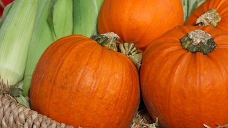 Zece afaceri agricole cu care micii fermieri pot da lovitura în 2014