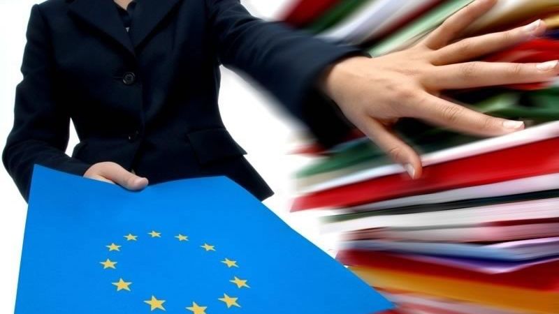 FONDURI EUROPENE. Impactul fondurilor UE la creşterea economică, un FÂS 