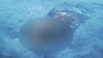 Descoperire MACABRĂ într-un lac din Suedia. Cel care a făcut-o a fugit cât l-au ținut picioarele